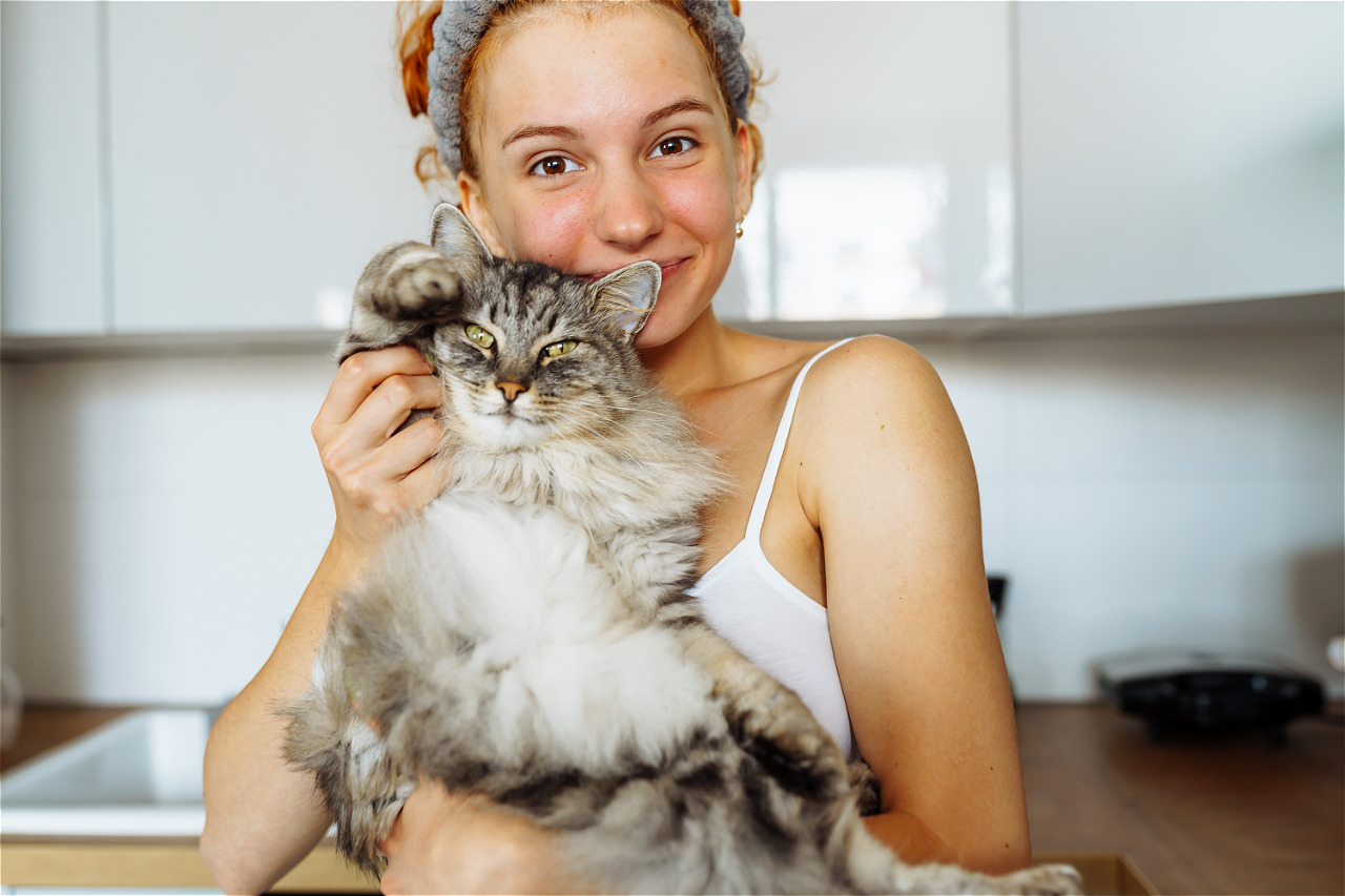 8 признаков кошачьего доверия: если кошка делает это рядом с вами, значит, она по-настоящему к вам привязана