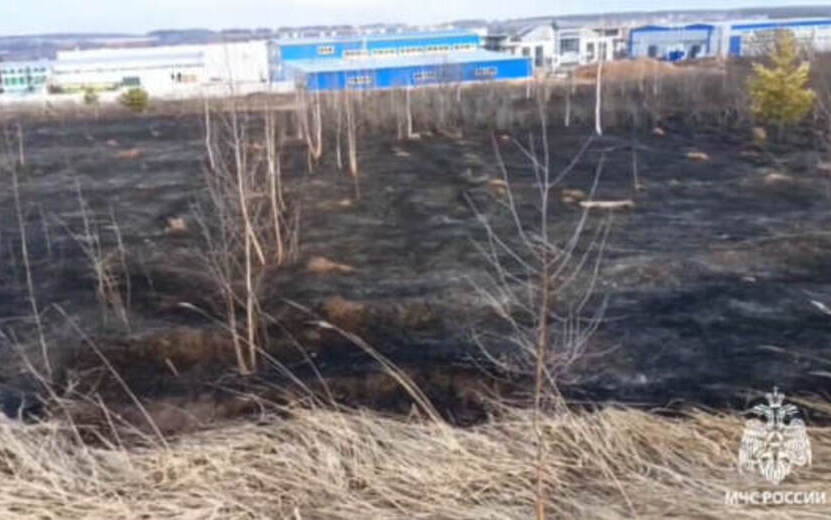 Ландшафтный пожар площадью 4 гектара потушили в Ижевске