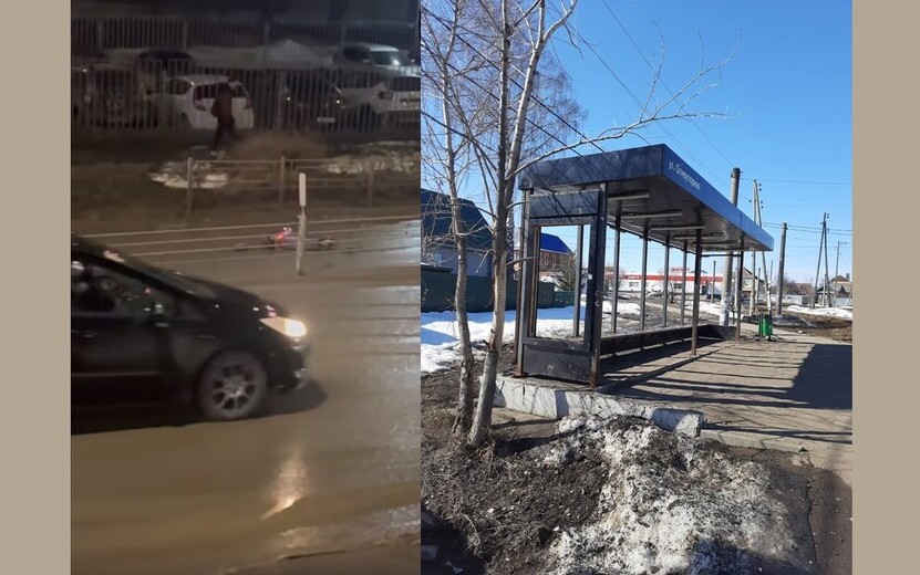 Запрет на выращивание картофеля, сбитый подросток на самокате и вандализм на остановке: что обсуждают ижевчане в социальных сетях 3 апреля