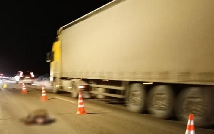40-летнего пешехода насмерть сбил грузовик под Ижевском