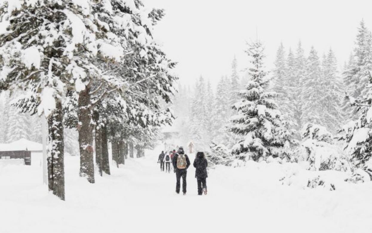 Опрос IZHLIFE: 59 % ижевчан стали дольше добираться до работы из-за снегопадов