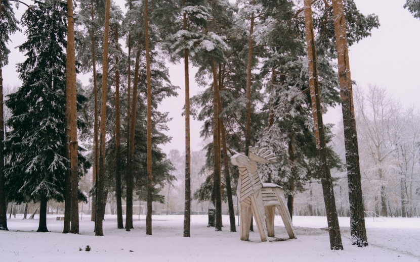 Первый снег в Ижевске. Фото: Маша Бакланова