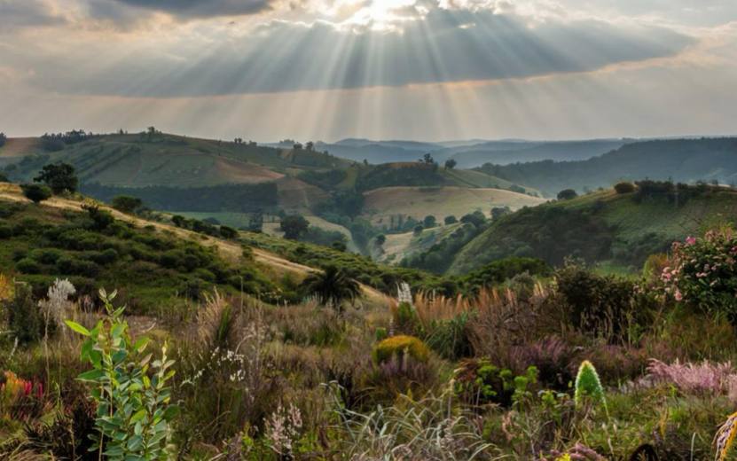Гороскоп по дате рождения на день – 21 октября: Овнам стоит обратить внимание на неожиданные связи, а Рыбам – на практичные шаги в работе