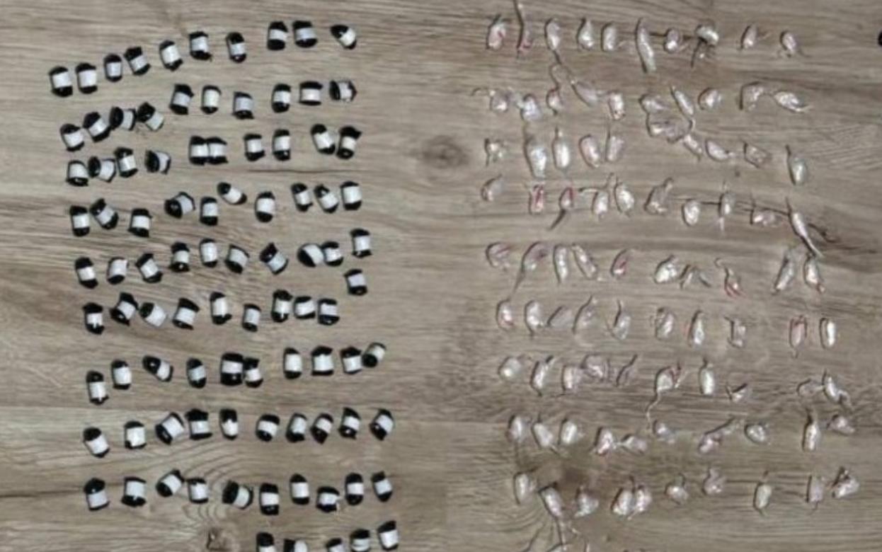 Двух наркокурьеров задержали в лесополосе в Ижевске