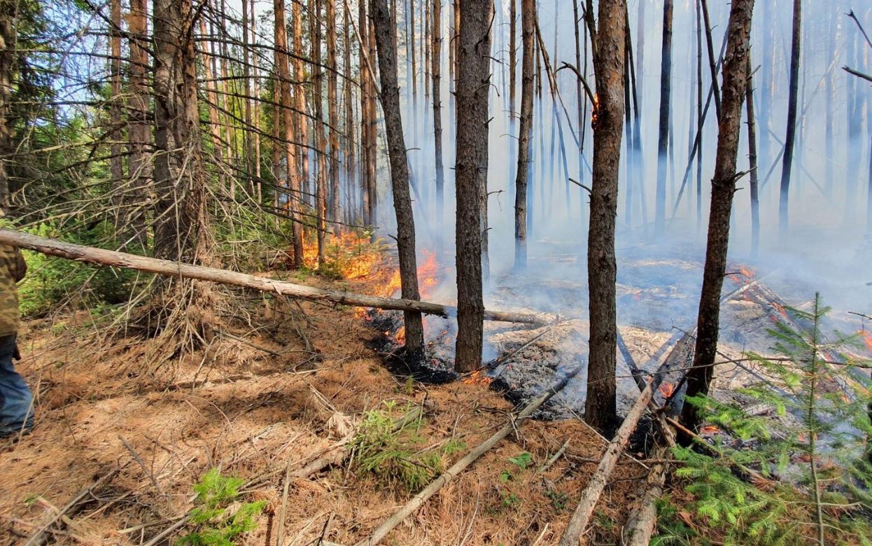 Пожароопасный сезон откроют в Удмуртии 17 апреля