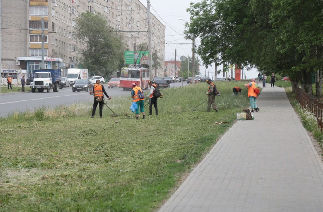 Более 2 миллионов квадратных метров газонов вдоль дорог покосят в Ижевске