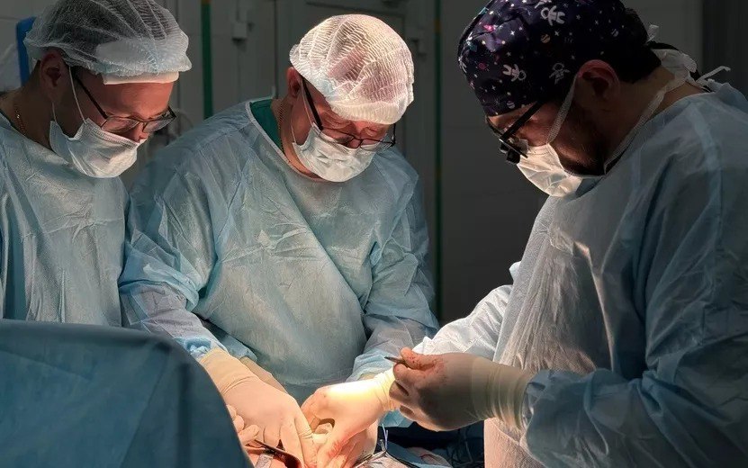 Главные новости Ижевска на 26 февраля: пересадки почек и вывоз леса