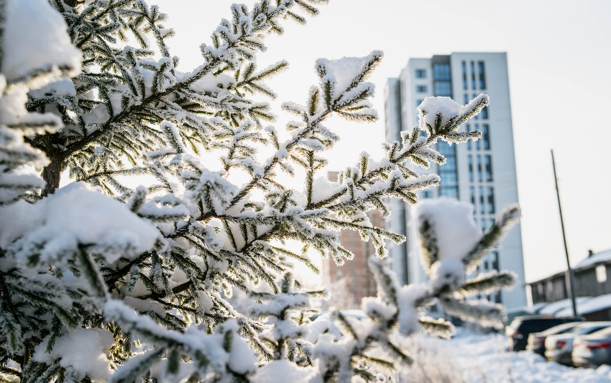 Главные новости Ижевска на утро 26 января: спасение пациента со смертельно опасной травмой и сгоревший автомобиль