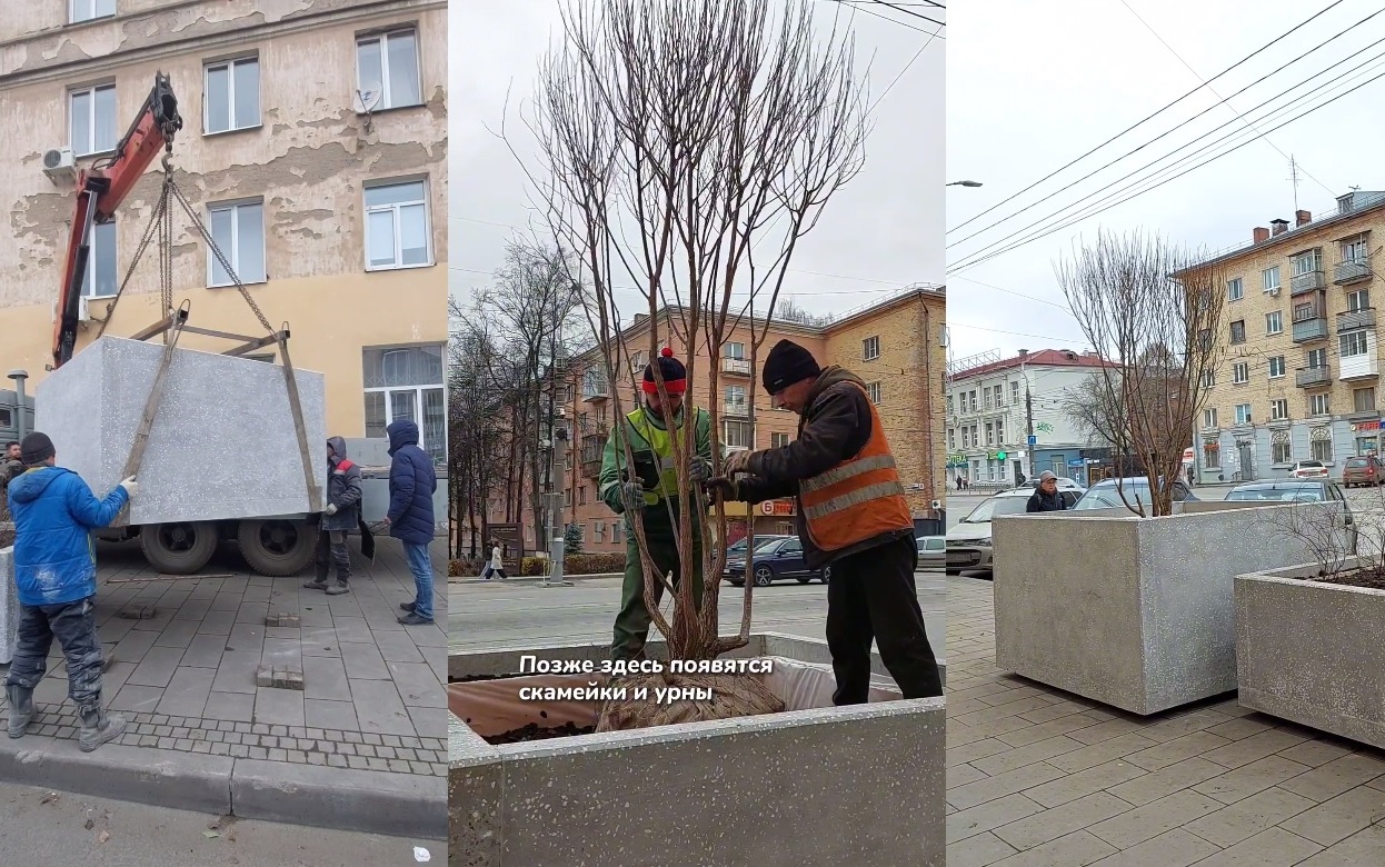 Ивы высадили в бетонные контейнеры на ул. Ленина в Ижевске