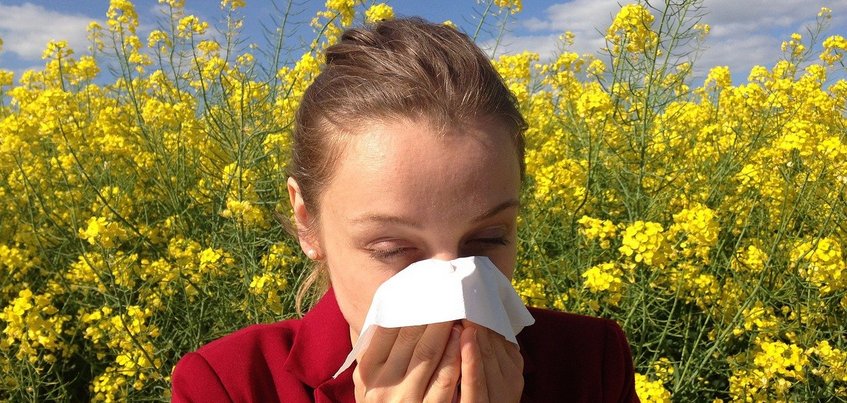 Врач рассказал, как распознать аллергию на пыльцу