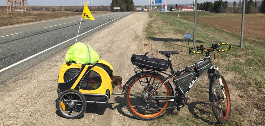 Жительница Татарстана, путешествующая на велосипеде с больной собакой, приехала в Удмуртию