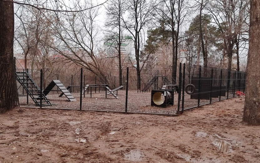 Фотофакт: площадка для выгула собак появилась в «Березовой роще» Ижевска