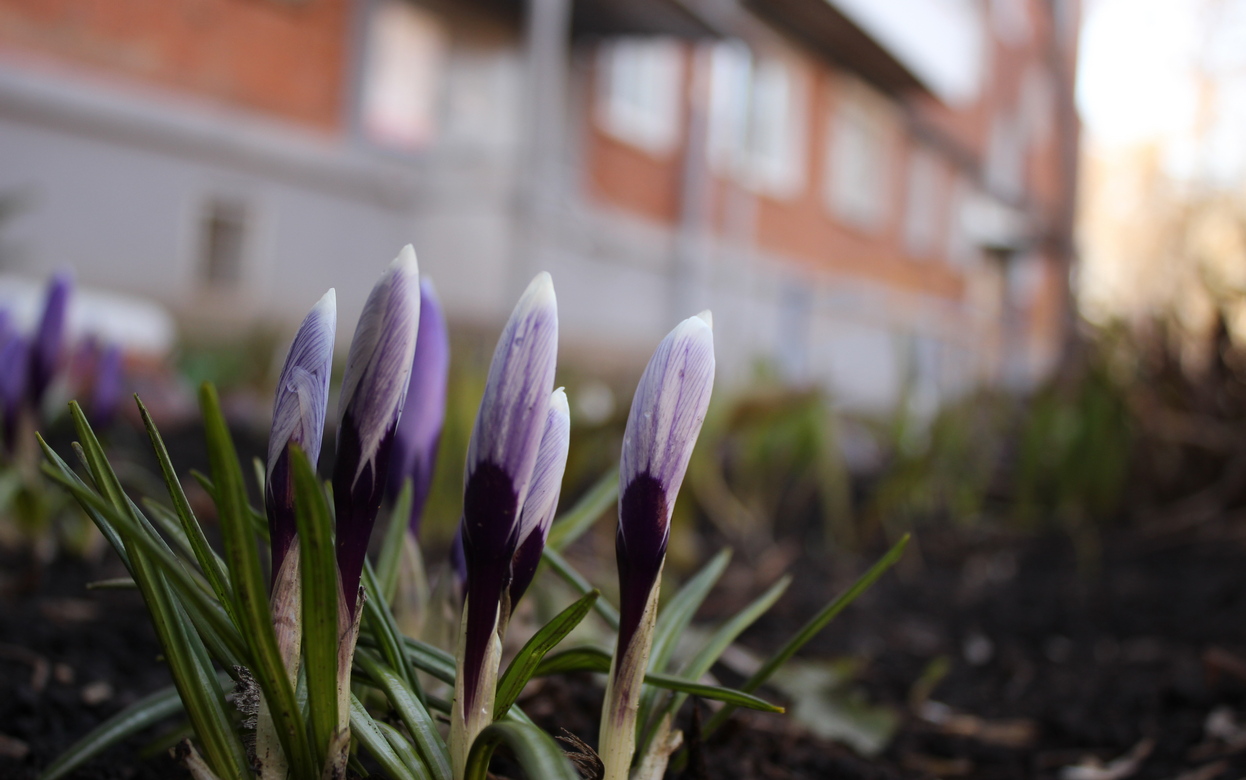 Погода в Ижевске на день: 28 апреля ждем +9°С и усиление ветра