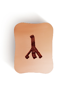 Альгиз (ᛉ) - перевернутое положение