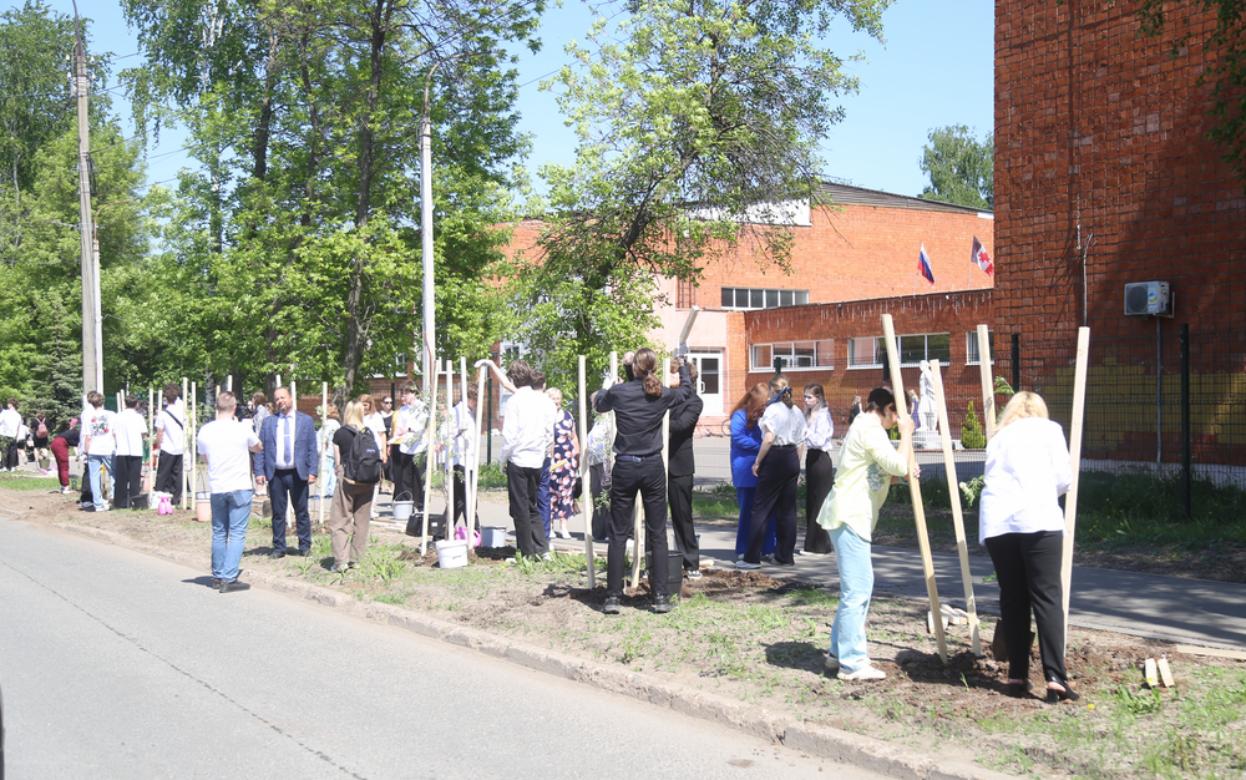 Рябиновую аллею высадили около лицея в Ижевске