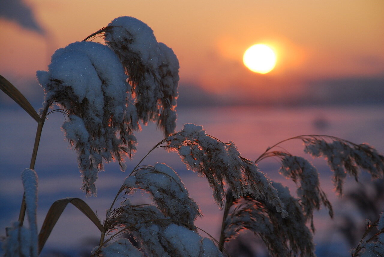 Погода в Ижевске на день: 8 января до -20 градусов и без осадков