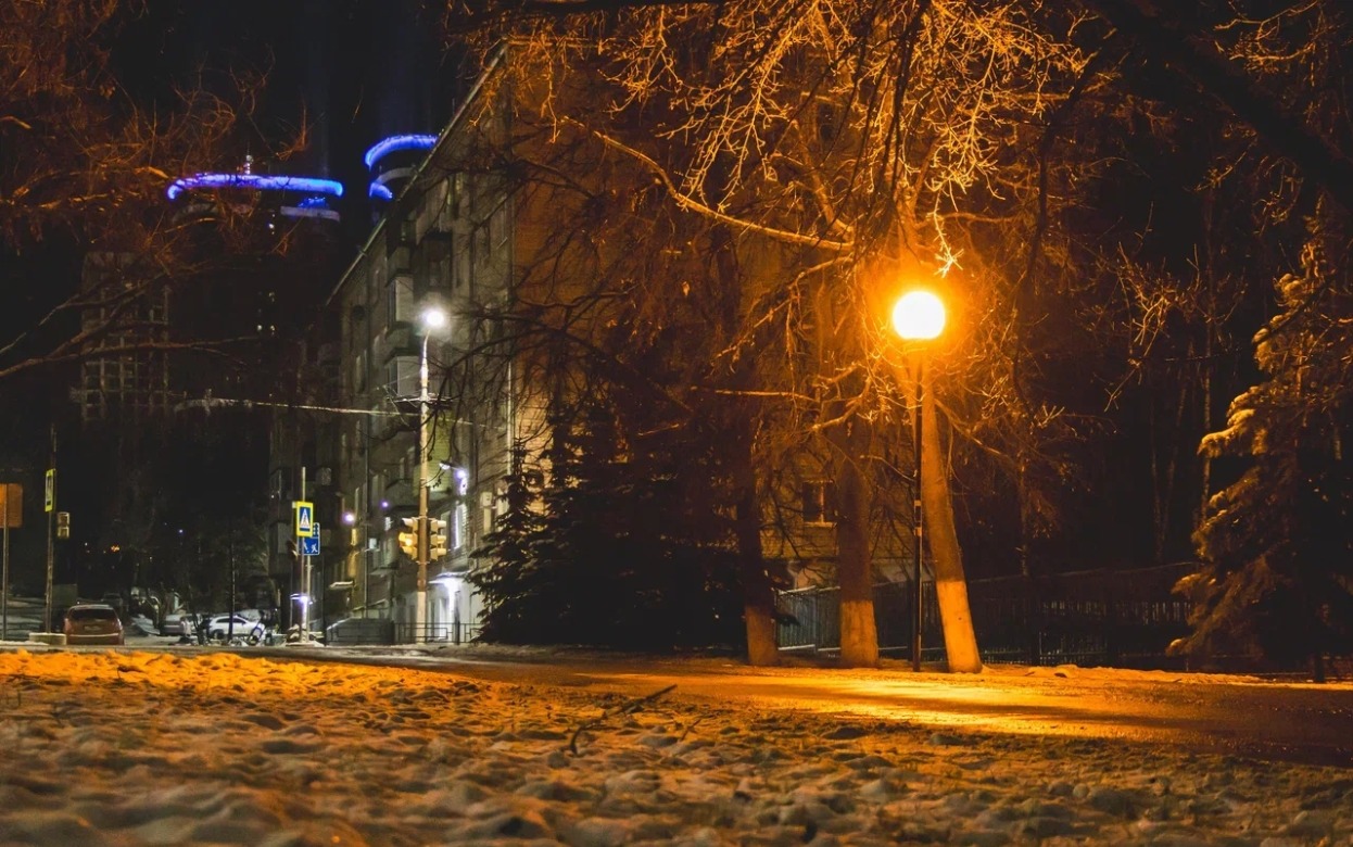 Главные новости Ижевска на утро 13 января: 56-я Ижевская винтовка и первый случай бешенства 