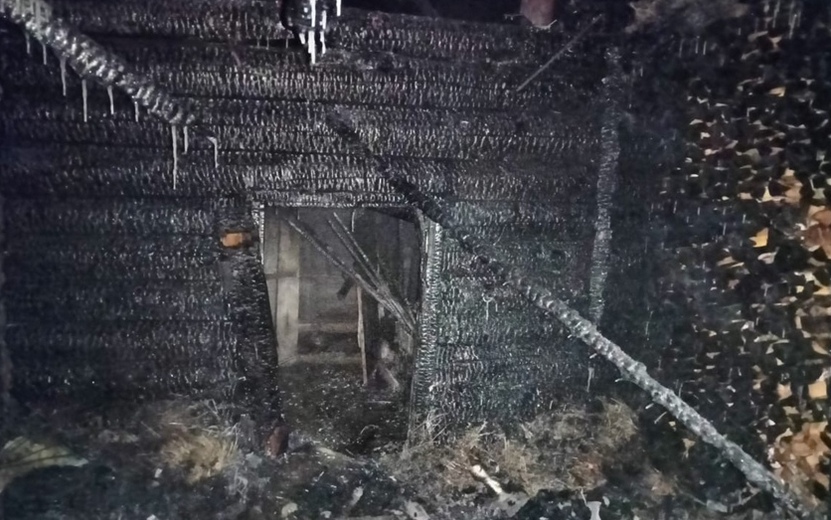 9 куриц и овца погибли на пожаре в Удмуртии