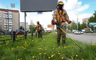 Завершить покос травы вдоль магистралей Ижевска обещают к 6 июля