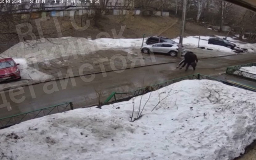 Водитель легковушки напал на пенсионера во дворе дома в Воткинске