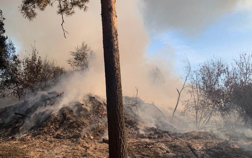 Свалка и лес загорелись в Можгинском районе
