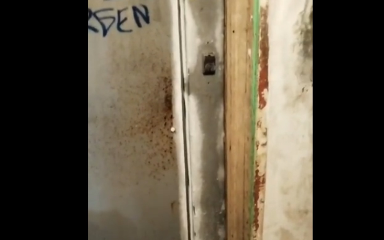 Ледяные корки на дверях второго подъезда ул. Пушкинская, 264 Видео: @zlou18