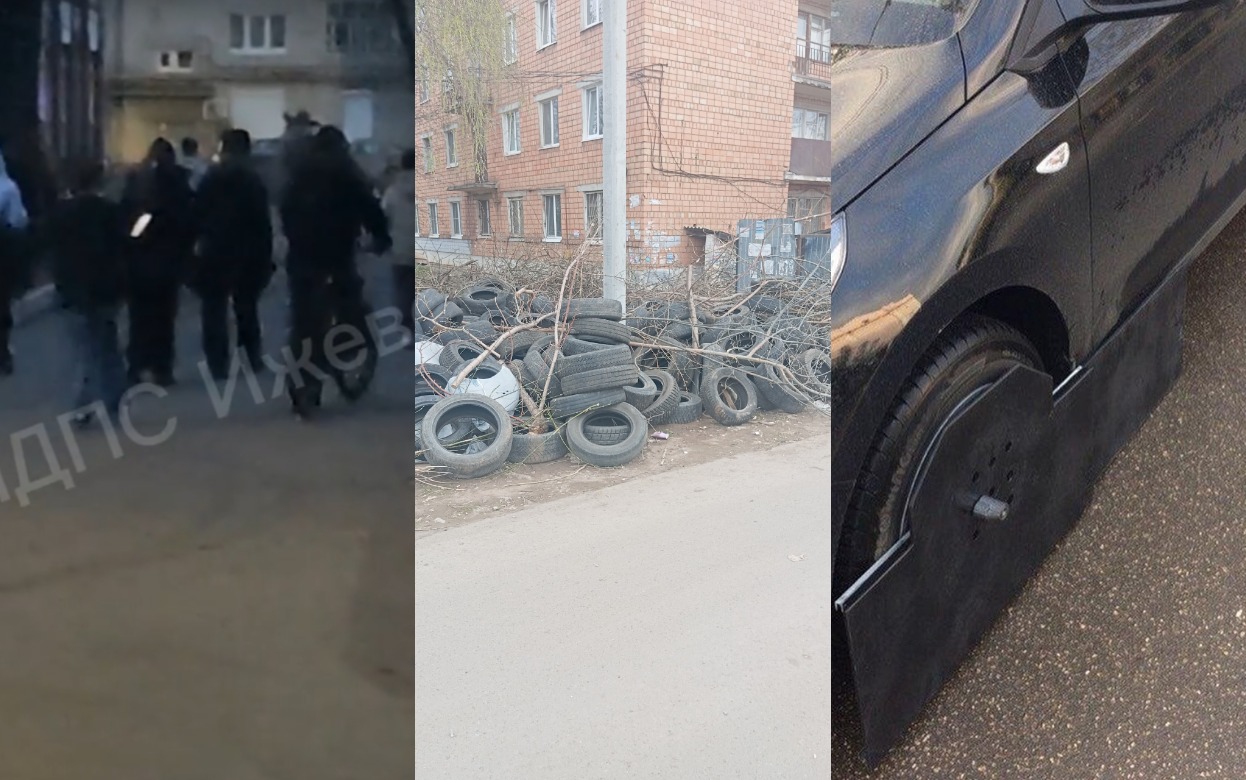 Погоня детей за лосенком, бардак от шиномонтажки и уникальная система защиты от эвакуатора: что обсуждают ижевчане в соцсетях 20 апреля