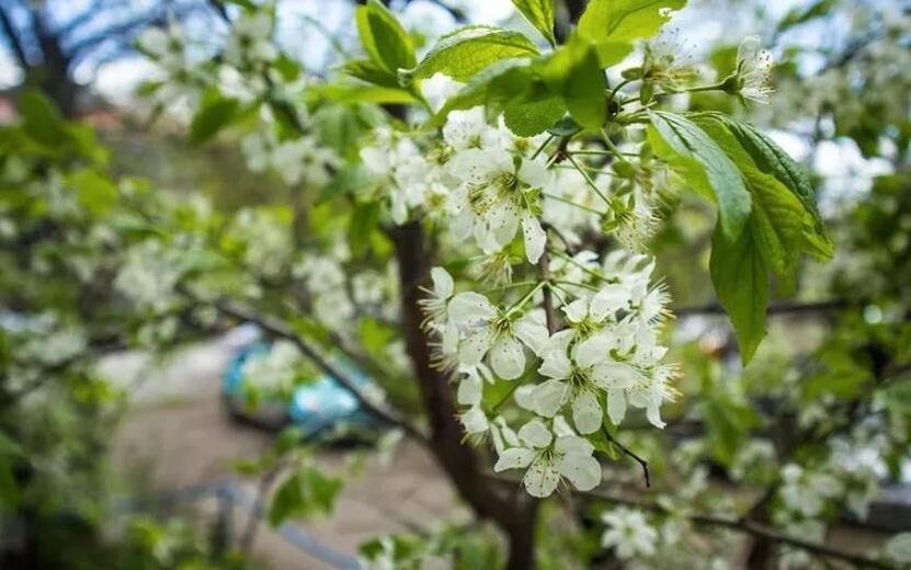 Погода в Ижевске на день: 22 мая ждем до +19°С, грозы и град