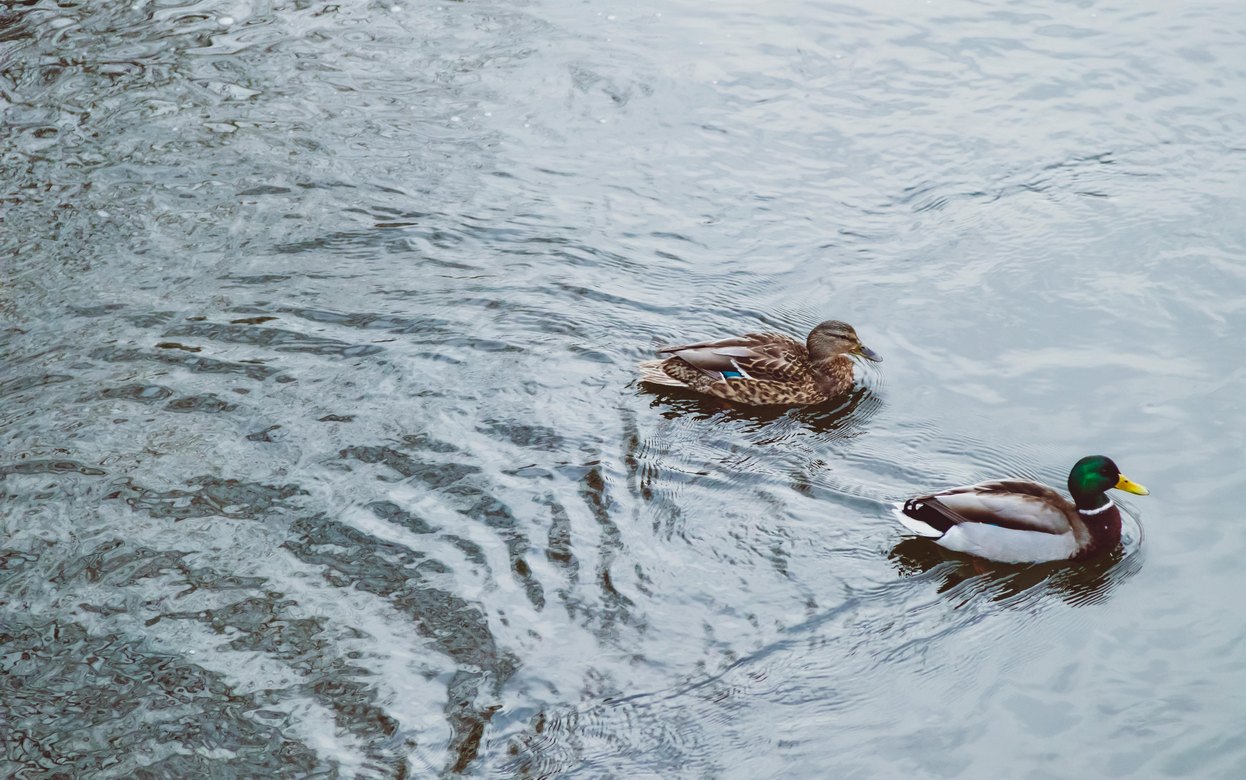 Погода в Ижевске на день: 5 апреля ждем ночные 0°С и небольшой дождь