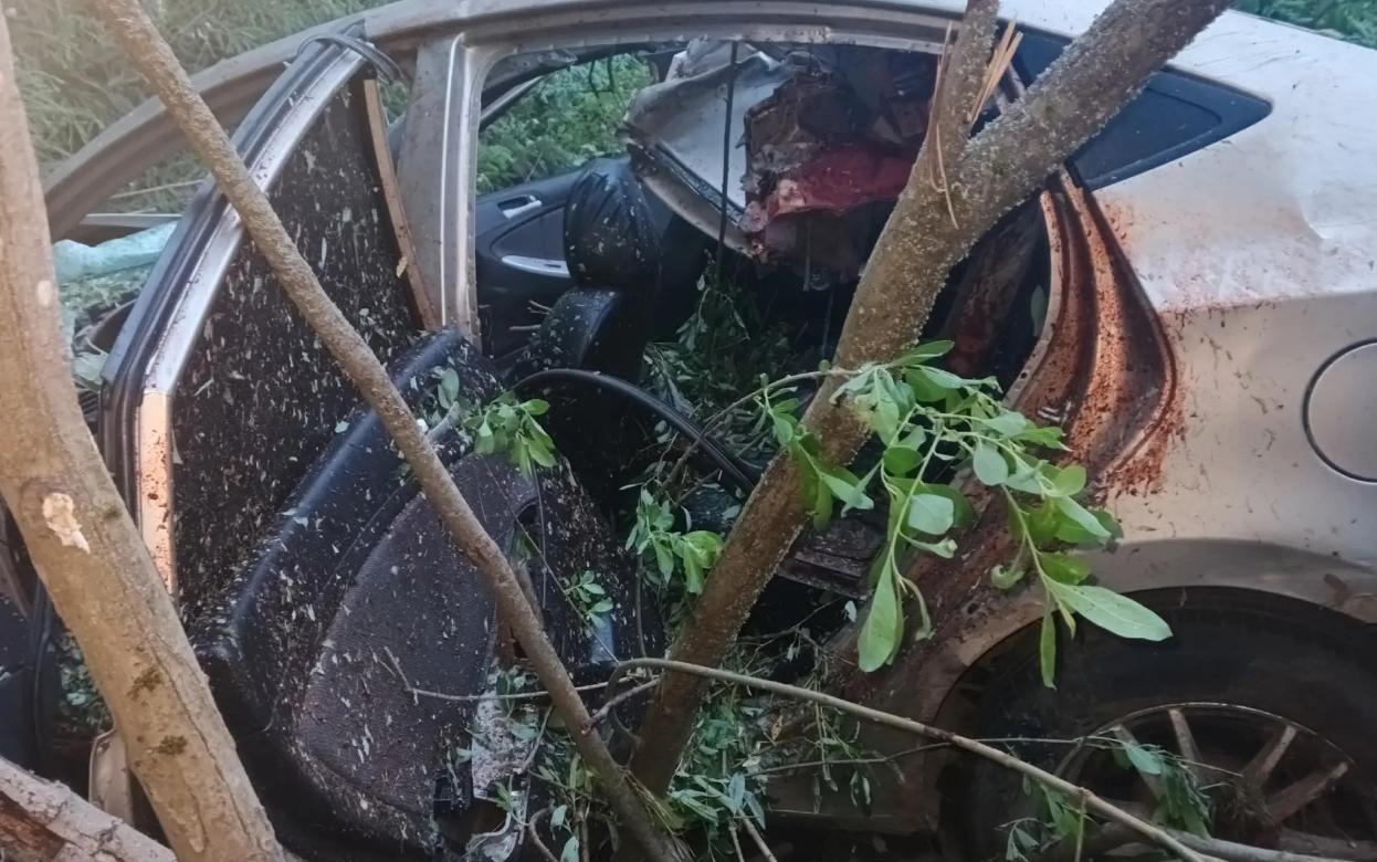 «Солярис» сбил лося под Ижевском: водитель погиб, пассажирки попали в больницу