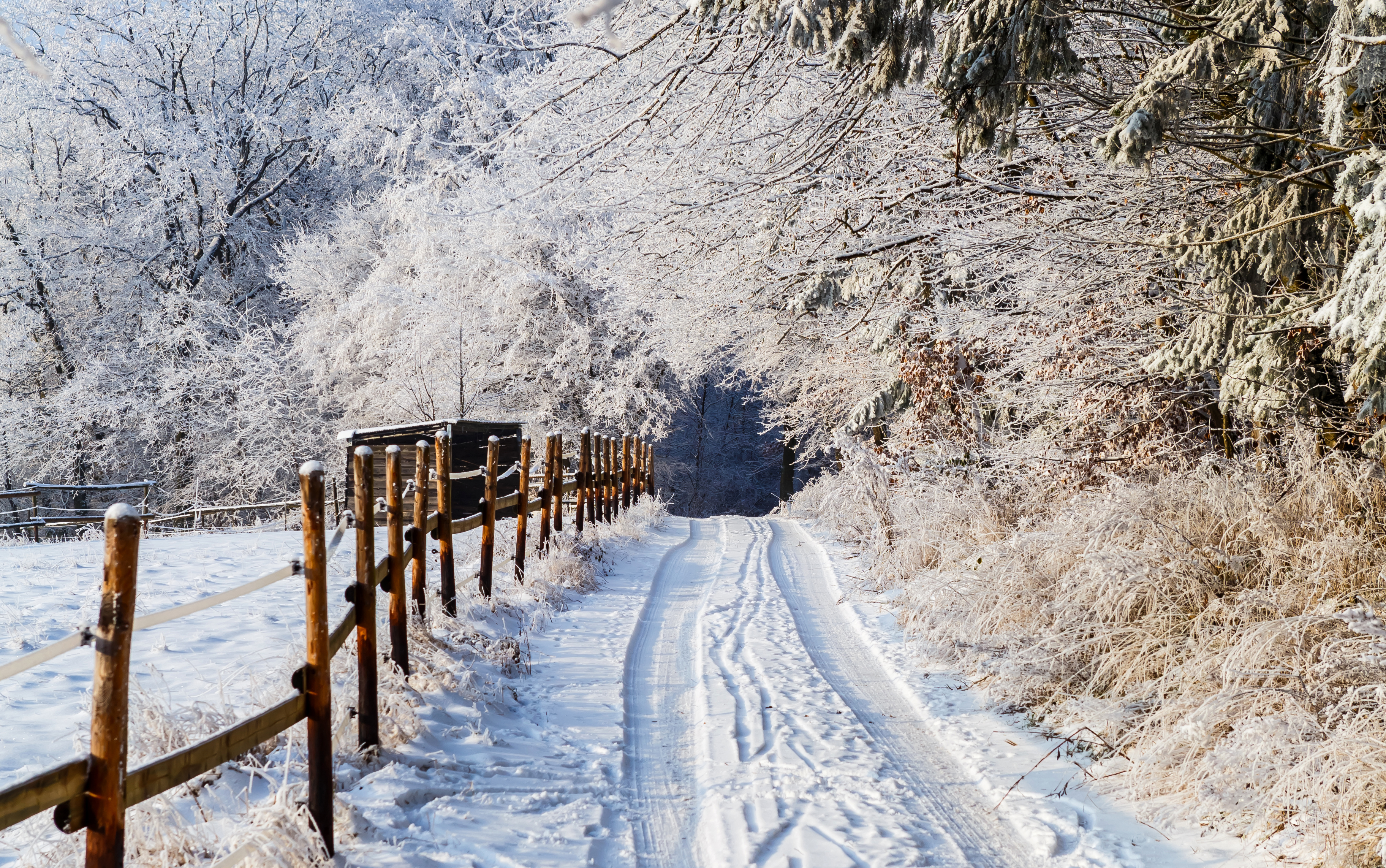 Главные новости Ижевска на утро 14 января: студенты Удмуртии в финале всероссийской олимпиады и житель был оштрафован за стрельбу