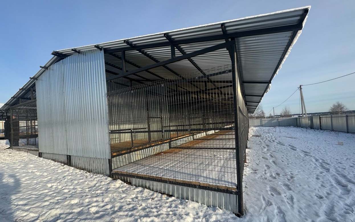 20 вольеров для бездомных собак построили в Ижевске