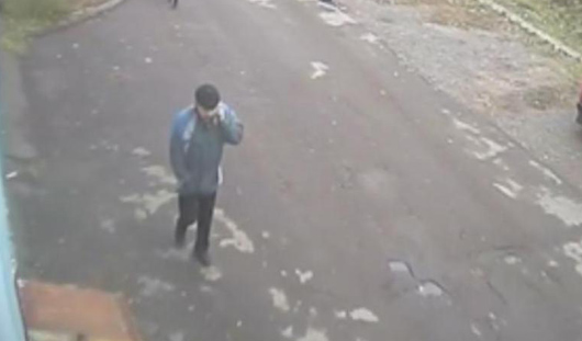 скрин с видео; видео с камеры наблюдения; фоторобот составлен сотрудниками МВД России по Удмуртии