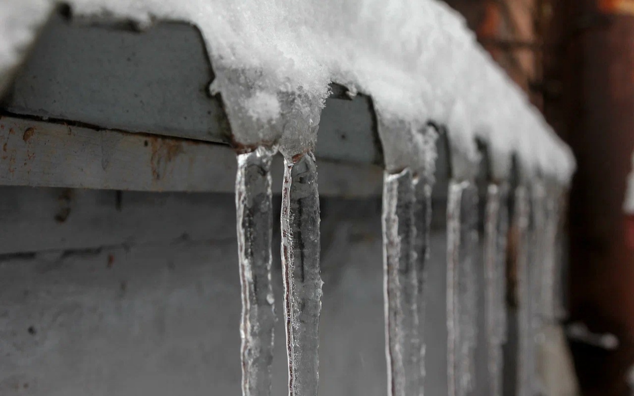 Подорожание продуктов, школьник с пистолетом и изъятие животных у недобросовестных хозяев: что обсуждают ижевчане в социальных сетях 4 февраля