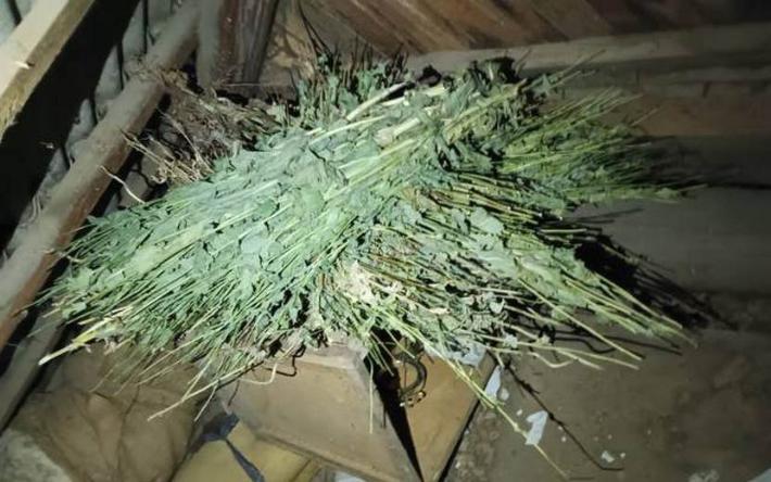 3 кг маковой соломы нашли у укравшего бензопилу мужчины в Удмуртии