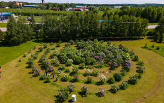 Сиреневый сад в виде спирали жительницы Удмуртии видно из космоса
