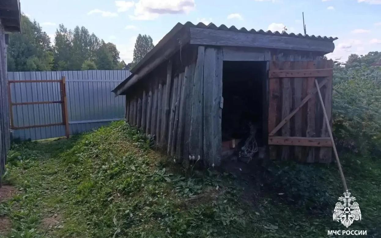 62-летний мужчина погиб в овощной яме в Удмуртии