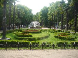 автора