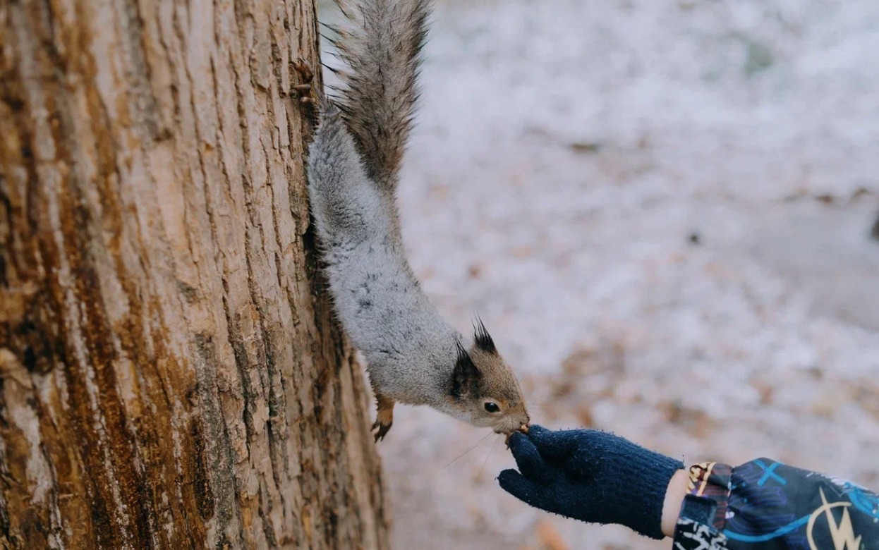 Короткие Майские праздники, обязательная прививка от гриппа в детском лагере, глыба льда, упавшая на легковушку: что обсуждают ижевчане в соцсетях 6 марта