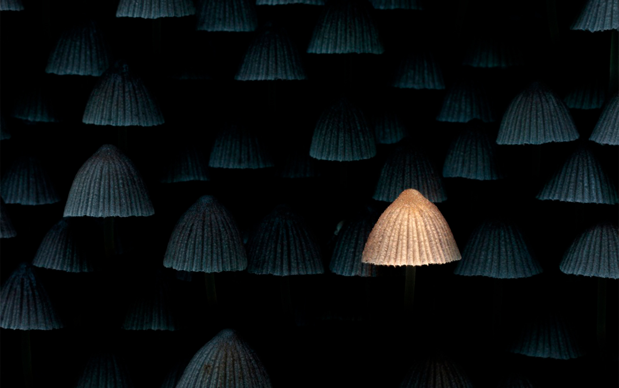 «Нас только двое из России!»: снимок жителя Ижевска прошел в финал международного фотоконкурса