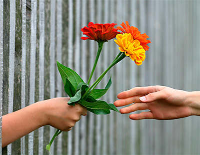 Pixabay