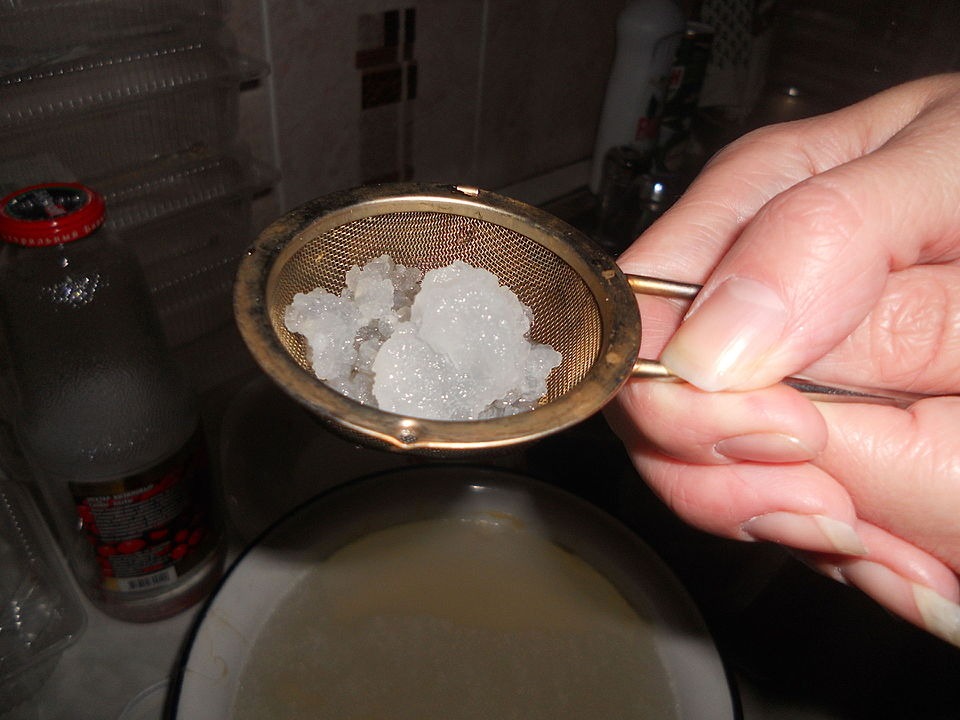 Еще одна кухонная бурда? Что такое морской рис, кому его можно, а кому - лучше не рисковать