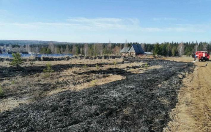 125 га сухой травы выгорело в деревне под Ижевском