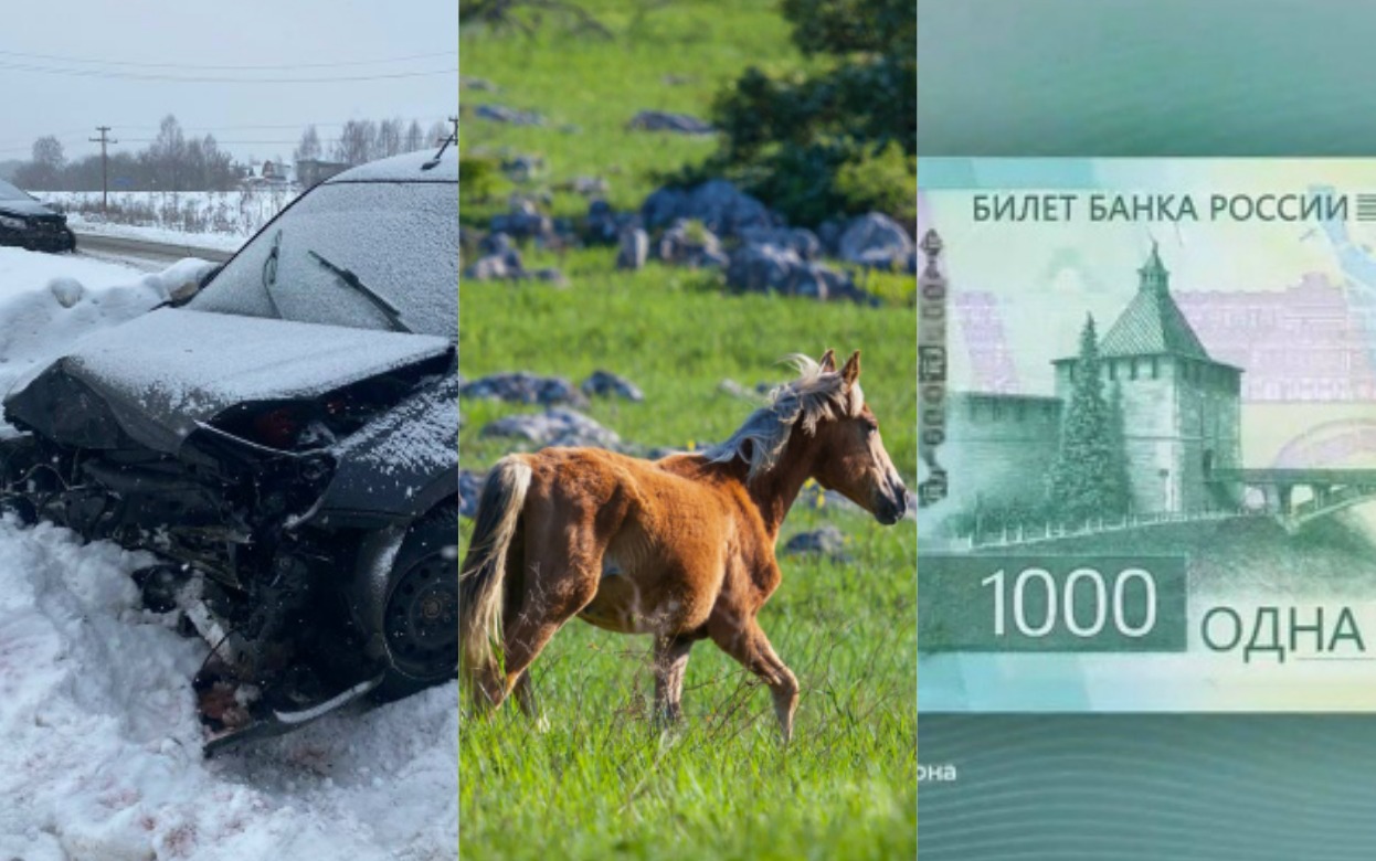 ДТП возле школьного автобуса, лошади у санатория, новая банкнота у ЦБ: что обсуждают ижевчане в соцсетях 21 января