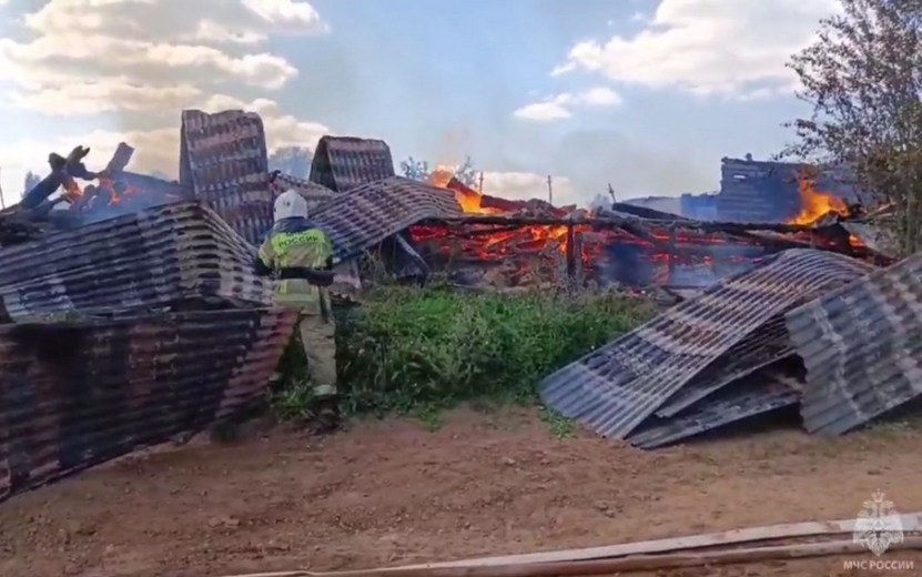 Пожар в Камском, 9 августа 2023 года. Видео: пресс-служба ГУ МЧС по Удмуртии