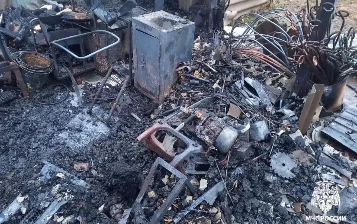 Котенок спас пенсионерку на пожаре под Ижевском