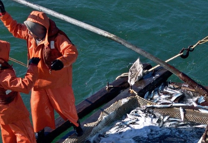 С 25 апреля в Удмуртии введут временный запрет на ловлю рыбы