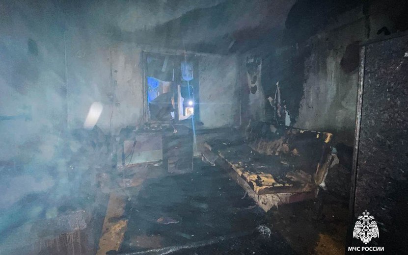 Пенсионер и его сын получили ожоги на пожаре в Удмуртии