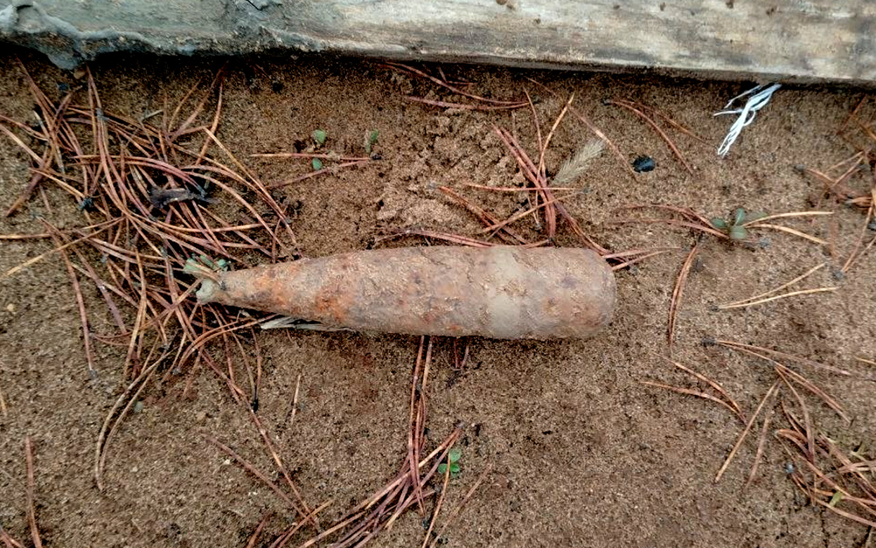 Артснаряд нашел житель Удмуртии на своем участке