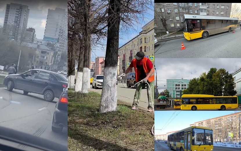 Побелка деревьев, драка водителей и проблемы общественного транспорта: что обсуждают ижевчане в соцсетях 25 апреля 